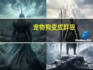 宠物狗变成群狼