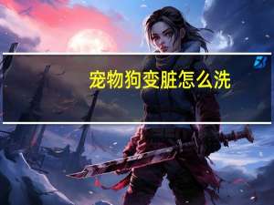 宠物狗变脏怎么洗