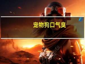 宠物狗口气臭