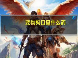 宠物狗口臭什么药