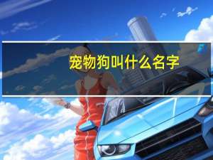 宠物狗叫什么名字