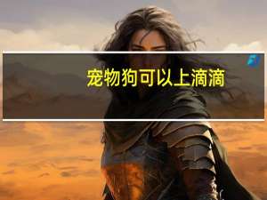 宠物狗可以上滴滴