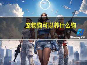 宠物狗可以养什么狗