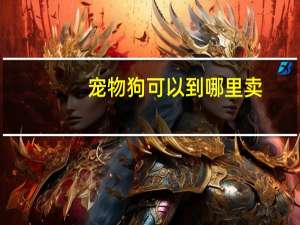 宠物狗可以到哪里卖