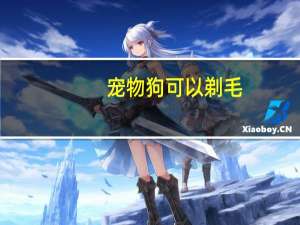宠物狗可以剃毛
