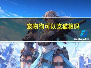 宠物狗可以吃猫粮吗