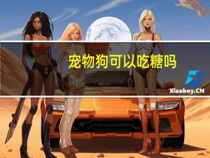 宠物狗可以吃糖吗