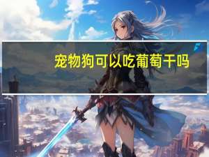 宠物狗可以吃葡萄干吗