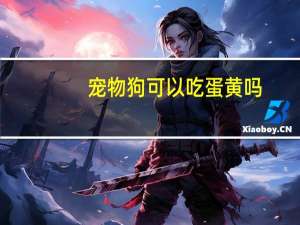 宠物狗可以吃蛋黄吗