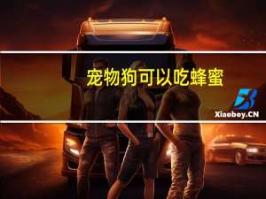 宠物狗可以吃蜂蜜