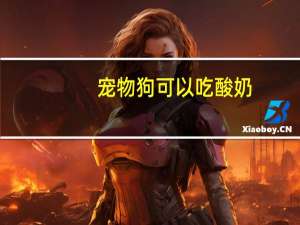 宠物狗可以吃酸奶