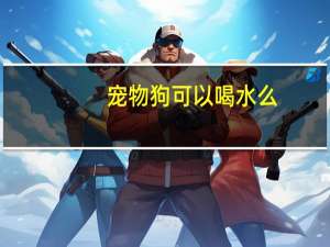宠物狗可以喝水么