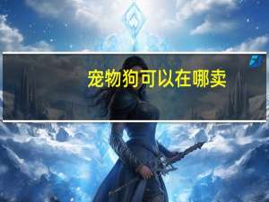 宠物狗可以在哪卖