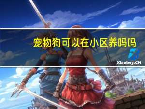 宠物狗可以在小区养吗吗