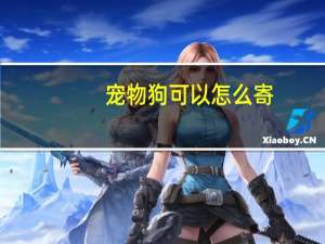 宠物狗可以怎么寄