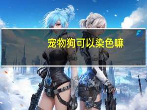 宠物狗可以染色嘛