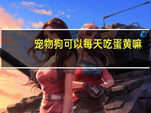 宠物狗可以每天吃蛋黄嘛