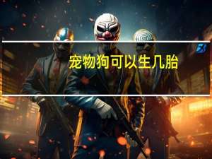 宠物狗可以生几胎