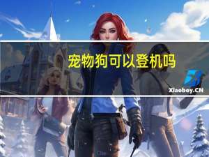 宠物狗可以登机吗