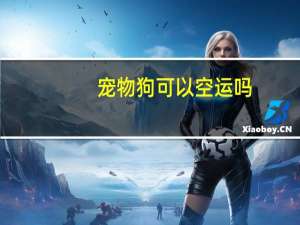 宠物狗可以空运吗