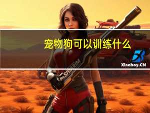 宠物狗可以训练什么