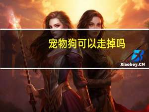 宠物狗可以走掉吗