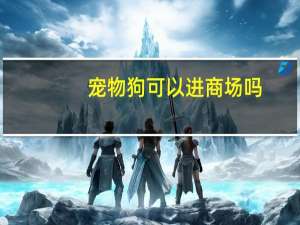 宠物狗可以进商场吗