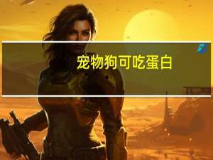 宠物狗可吃蛋白