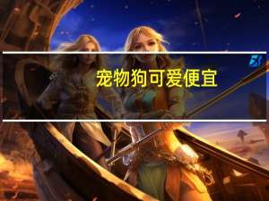 宠物狗可爱便宜