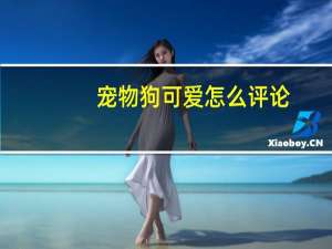 宠物狗可爱怎么评论