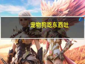 宠物狗吃东西吐
