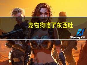 宠物狗吃了东西吐