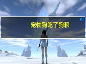 宠物狗吃了狗粮