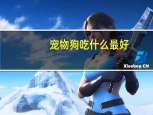 宠物狗吃什么最好