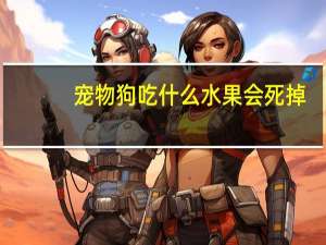 宠物狗吃什么水果会死掉