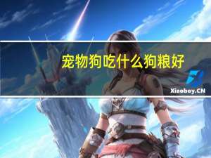 宠物狗吃什么狗粮好