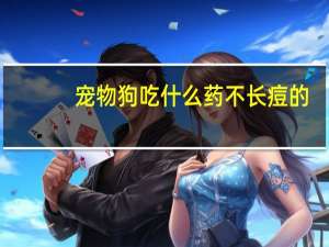宠物狗吃什么药不长痘的