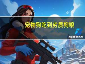 宠物狗吃到劣质狗粮
