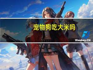 宠物狗吃大米吗