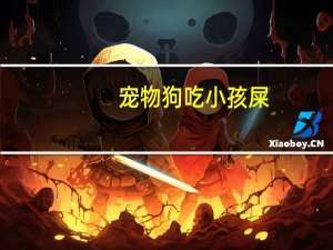 宠物狗吃小孩屎