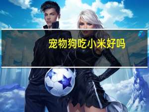 宠物狗吃小米好吗