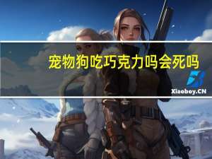 宠物狗吃巧克力吗会死吗
