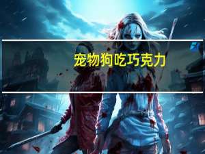 宠物狗吃巧克力