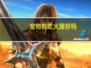 宠物狗吃火腿好吗