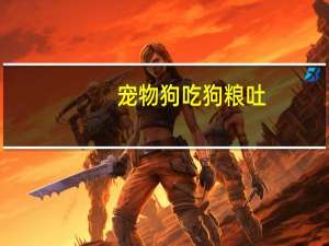 宠物狗吃狗粮吐