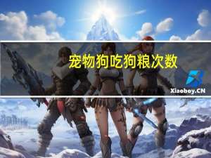 宠物狗吃狗粮次数
