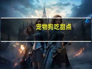 宠物狗吃甜点