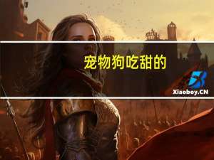 宠物狗吃甜的