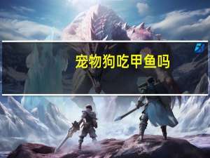 宠物狗吃甲鱼吗