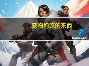 宠物狗吃的东西